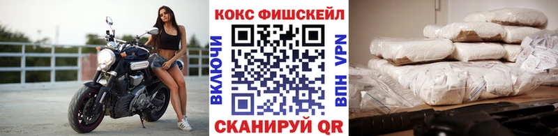 Купить где  Константиновск  КОКАИН Fish Scale 