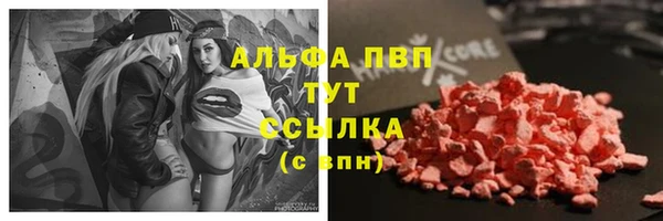 меф Гусев