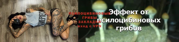 меф Гусев