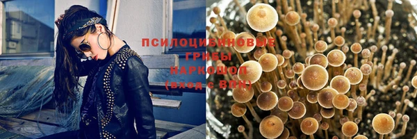 меф Гусев