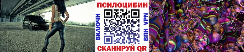 Купить где  Константиновск  Галлюциногенные грибы Psilocybine cubensis 
